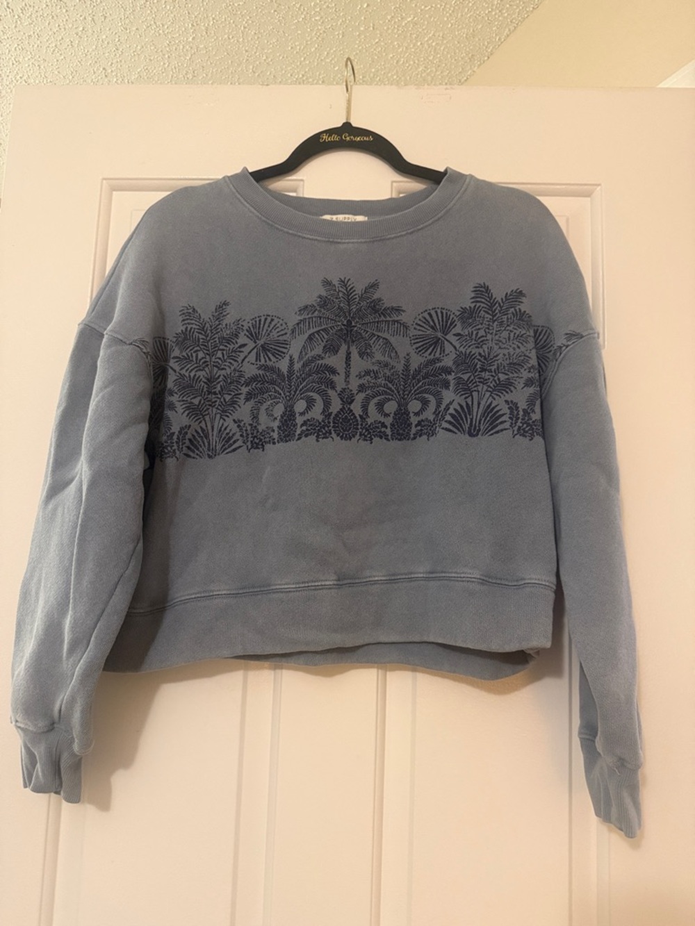 Z Supply Soft Blue Palm Tree 🌴 Cropped Crewneck